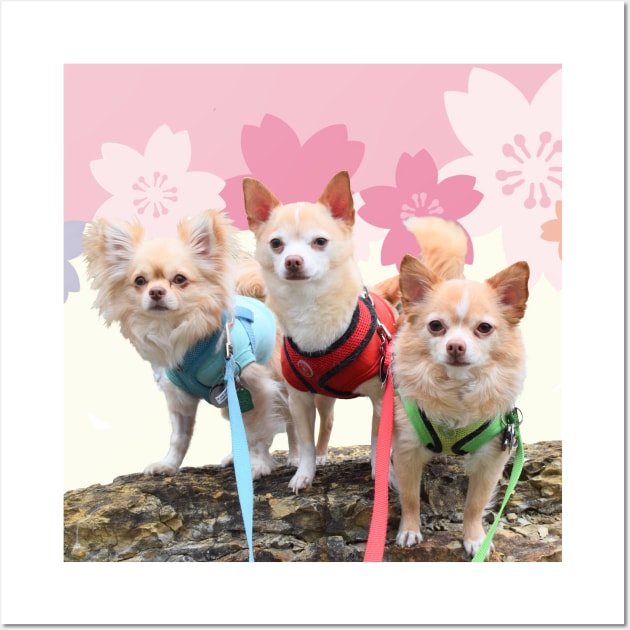 Sakura Chihuahuas Wall Art by BarkPink